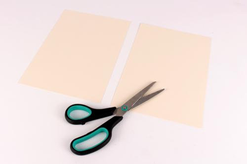 Carte confettis